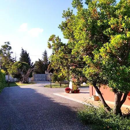 Federico * Monteroni di Lecce